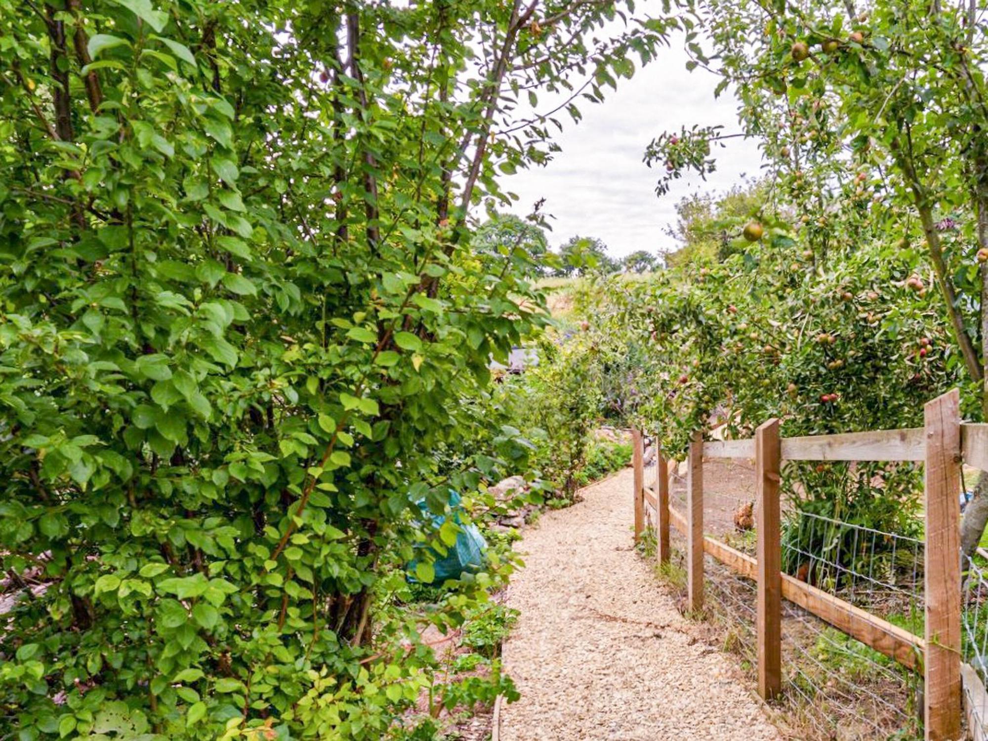 Fig Tree Shepherds Hut Bridport Bagian luar foto